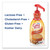Nestle Liquid Coffee Creamer, Hazelnut, 1500ml Pump Bottle
