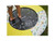 Plum Play 980.351197 Junior Jungle Bouncer 36" With Sounds