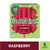 Outshine Raspberry Frozen Fruit Bars, 6 Count