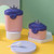 Mybeauty 1 Set Milk Powder Box Cartoon Design Large Capacity Bpa Free Kids Snack Fruit Food Container For Outing Yellow S