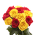 50 Stems Of Roses: 25 Yellow And 25 Red- Beautiful Fresh Cut Flowers- Express Delivery