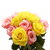 50 Stems Of Roses: 25 Yellow And Pink- Beautiful Fresh Cut Flowers- Express Delivery