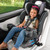 Evenflo® Everyfit High Back Convertible Car Seat High-back Booster Car Seat Infant Car Seat, Gray