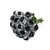 Painted Marshmallow Silver & Black Roses 50 Cm - Fresh Cut - 50 Stems