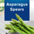Birds Eye Steamfresh Asparagus Spears, Frozen, 8 Oz