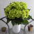 Hydrangeas 40 Stems Of Mini Green Mojito Fresh Cut Flowers By Bloomingmore