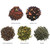 Tea Forte Single Steeps Loose Leaf Tea Sampler, Assorted Variety Tea Box, 15 Single Serve Pouches (sampler - World Of Teas)