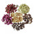 1pcs Natural Dried Flower And Herbs Soap Bath Bombs Making And Dried Flower Crafts Handmade Aromatherapy Candle Diy Accessories Multiple Dry Flower Herbs