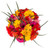 Rainbow Gerbera Bouquet - Fresh Cut - 31 Stems