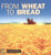 From Wheat To Bread  Start To Finish , Pre-owned  Library Binding  0822507153 9780822507154 Stacy Taus-bolstad