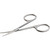 Japonesque Stainless Steel Silver Beauty Scissors