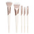 Ecotools Luxe Natural Elegance Professional Face Makeup & Foundation Brush Kit, 5 Piece Set