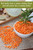 Idaho Red Lentils | 25 Lbs | Non-gmo | Kosher | Vegan | Dried