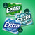 Extra Mint Sugar Free Chewing Gum Bulk Variety Pack (15 Pc., 20 Pk.)