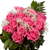 3 Dozen Hot Pink Roses With Babysbreath And Green- Fresh Flower Delivery