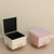 Fabulaxe Qi003937.iv 16.5 X 16 X 16 In. Square Velvet Storage Ottoman With Rose Gold Legs&#44; Ivory