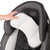 Evenflo Chase Plus 2-in-1 Booster Car Seat (huron Black)