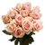 50 Stems Of Light Pink/peach Fenice Roses- Beautiful Fresh Cut Flowers- Express Delivery