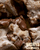 Hershey's Milk Chocolate Candy Bar, Full Size, 1.55 Oz, Bar