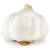 Garlic Bulb, Each