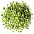 Organic Green Split Peas, 10 Pounds — Non-gmo, Kosher, Raw, Vegan — By Food To Live