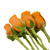 Roses 50 Farm Direct Fresh Cut Orange Do It Yourself Prewired Wired Roses By Bloomingmore