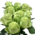 50 Stems Of Green Roses- Fresh Flower Delivery