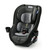 Graco Contender Go Convertible Car Seat, Winston