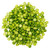 Non-gmo | Garbanzo Beans | Green Split Peas | 10 Lbs | Palouse Brand
