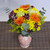 Sunset Skies Bouquet - Fresh Cut - 24 Stems