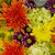 Sunset Skies Bouquet - Fresh Cut - 24 Stems