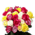 50 Roses 25 Red And 25 One Color