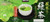 Kirkland Signature Ito En Matcha Blend, 100% Japanese Green Tea Leaves, 100 T...