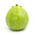 Thai Guava Apple (psidium Guajava) Shipping