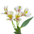 60 Stems Of Cream Select Alstroemerias- Beautiful Fresh Cut Flowers- Express Delivery