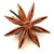 Star Anise