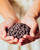 Dark Chocolate Premium Baking Chips 55% Cocoa - 9 Oz