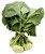 Green Kohlrabi, 1 Bunch