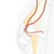 Haakaa Silicone Strap Suitable For Gen.1/2/3 Haakaa Manual Breast Pump Prevent Breast Pump From Falling Off During Use (rust Color) -1pc