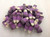 Candy Corn Blackberry Cobbler Flavor Fall Candy 1 Pound