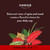 Choice Organics - Spice Roast (1 Pack) Coffee-inspired Teas - 16 Organic Tea Bags