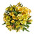 Alstroemeria 50 Stems Of Yellow Farm Direct Fresh Cut Flowers By Bloomingmore