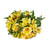 Alstroemeria 50 Stems Of Yellow Farm Direct Fresh Cut Flowers By Bloomingmore