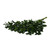 Israeli Ruscus 100 Stems Of 50 Cm Fresh Cut Greenery Green Filler Farm Direct By Bloomingmore