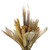 Bleached Eternal Bouquet - Fresh Cut - 26 Stems - 1 Pk
