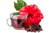 Luzianne Family Size Iced Hibiscus Tea, 22 Count (pack Of 6)