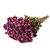 Purple Daisies - Fresh Cut Flowers - 60 Stems - By Bloomingmore