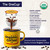 Organic Breakfast Blend Onecup™ Pods