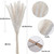 30 Pcs Pampas Natural Grass Reed Plume Dried Flowers Phragmites Bouquet Tall Real Touch Natural Plumes For Farmhouse Office Bedroom Wedding Rustic Decor （white, 17 Inch）