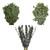 Mixed Eucalyptus "3 Amigos" - Fresh Cut - 40 Stems - By Bloomingmore